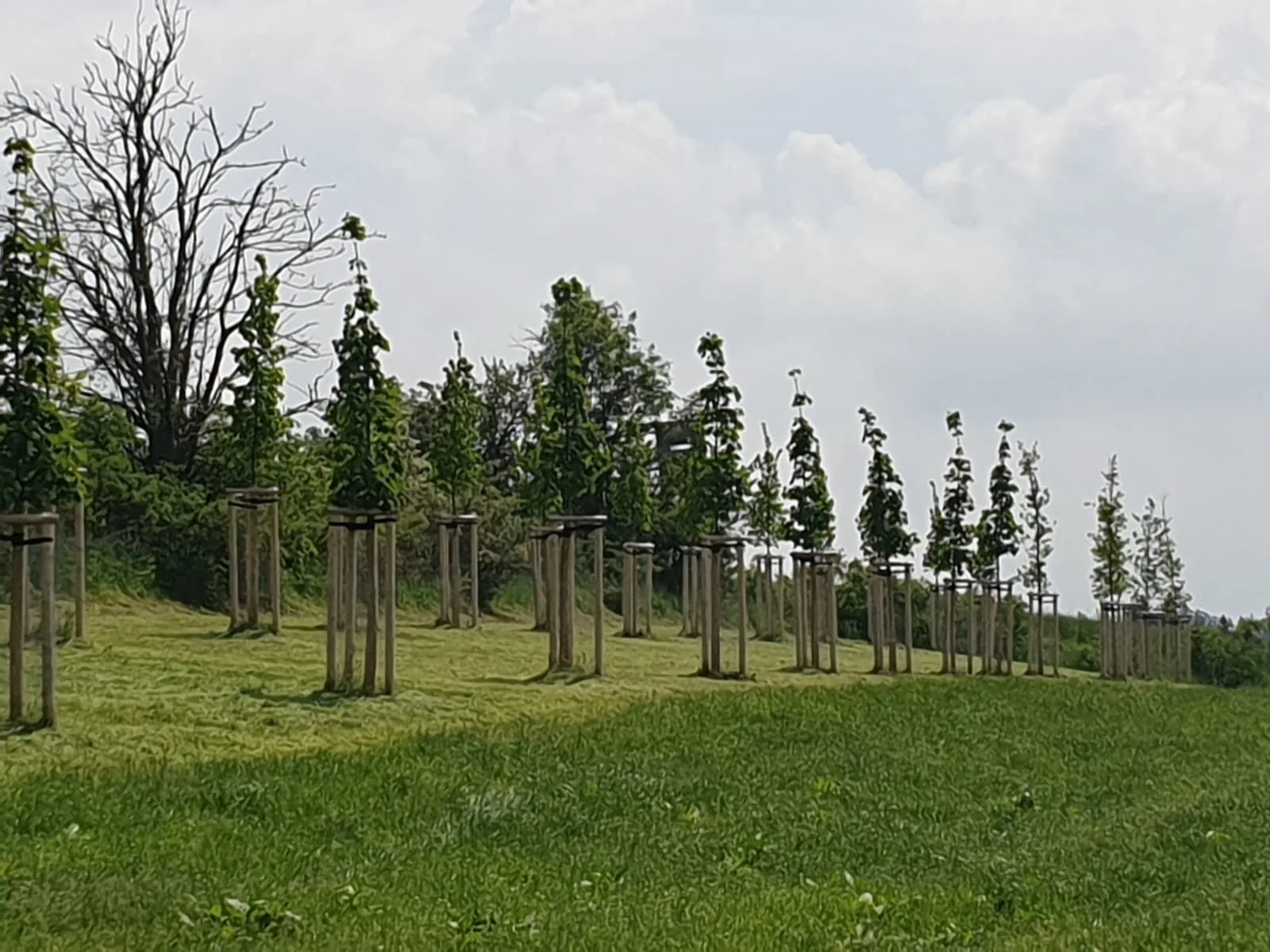 Projekt 27