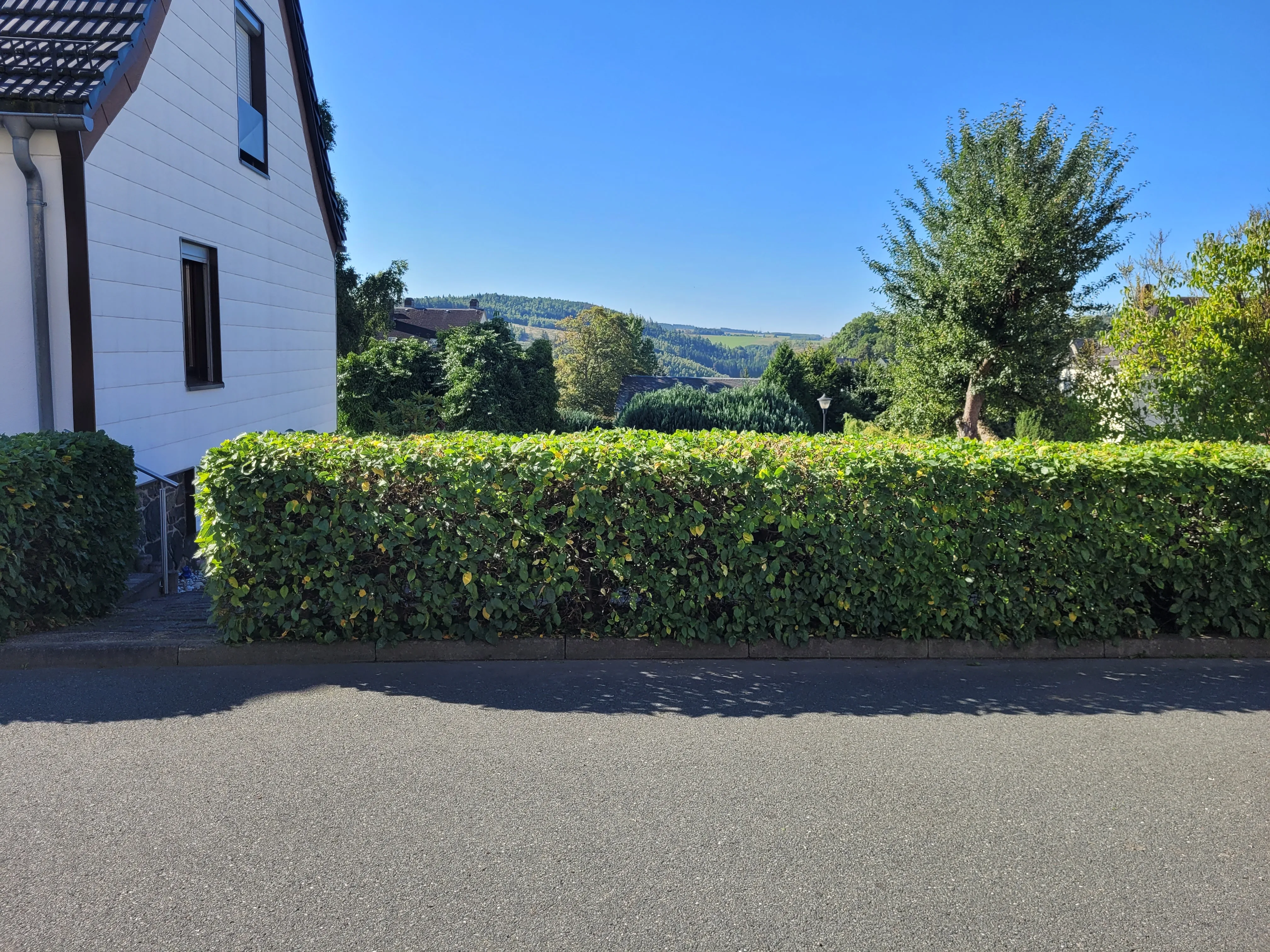 Heckenschnitt