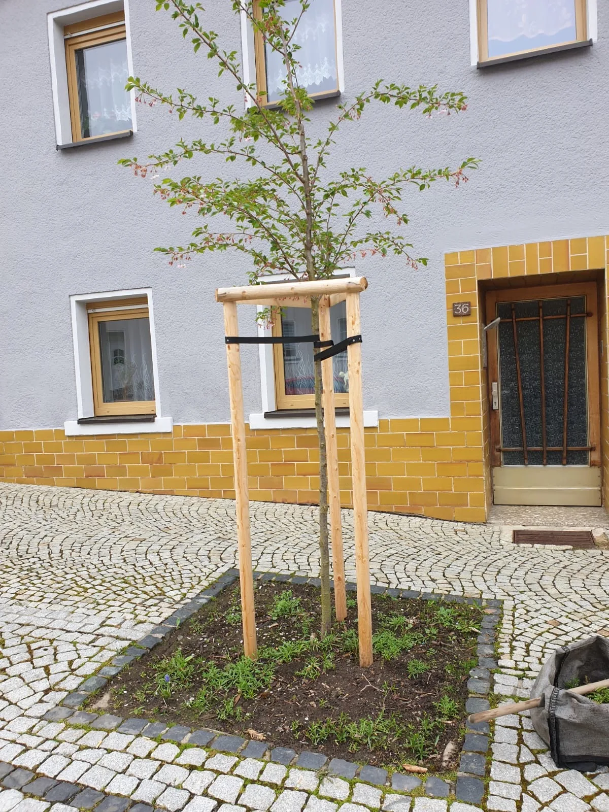 Projekt 23