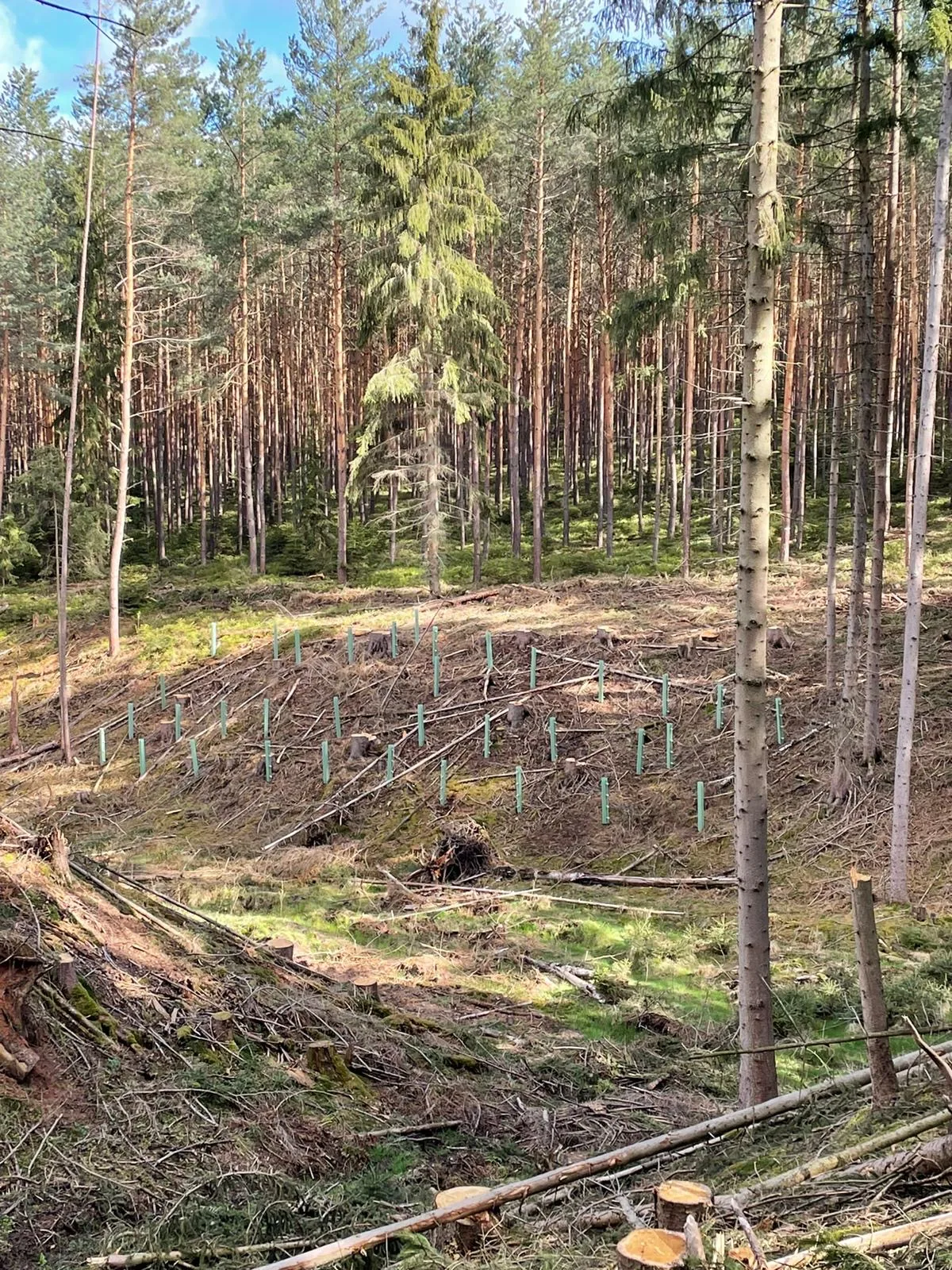 Projekt 15